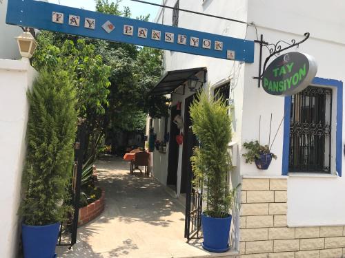 Bodrum City Center Bed & Breakfast | Beautiful Tay Pansiyon with Oceanfront Views & High Ratings