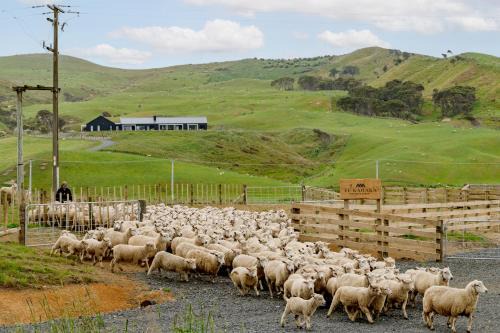 Te Akau House | Discover Te Karaka Lodge: 5-Star Retreat with Ocean Views