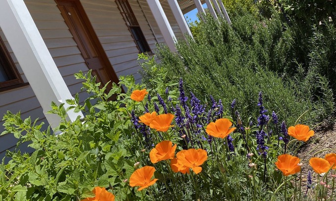 Gulgong House | Telegraph Station: 4-Star Stay with Breakfast & Family Comfort