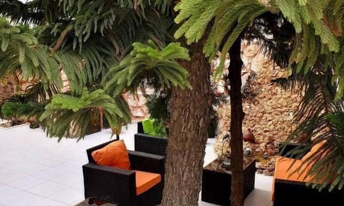 Madaba Bed & Breakfast | Discover Tell Madaba Hotel: Guest Rated 10/10 with Breakfast