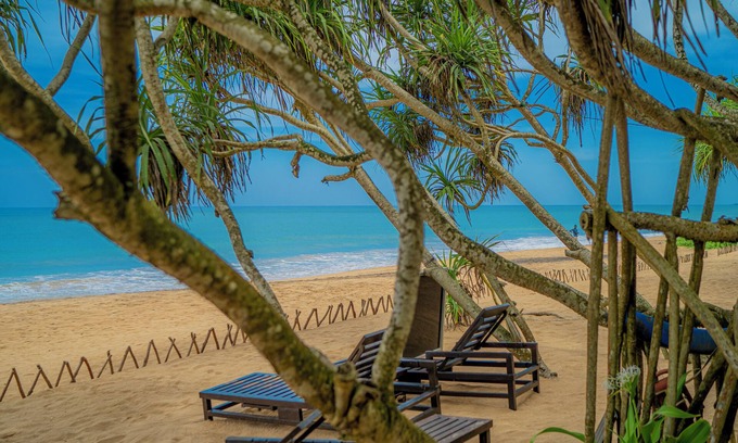 Induruwa Hotel | Relax at Temple Tree Resort & Spa with Pool and Spa Services