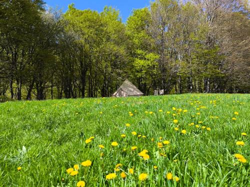Chambon-sur-Lac Other | Tente des clarines