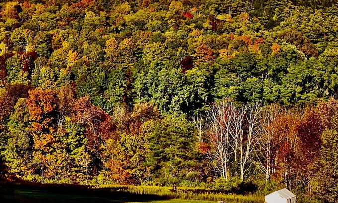 Cooperstown - Otsego Lake RV Rental | Tentrr Signature Site - Fenimore Slope