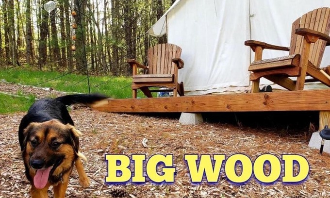 Acra Other | Pet-Friendly Tentrr Signature Site - Big Wood Awaits You
