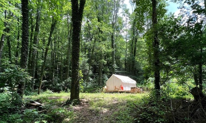 Swannanoa Other | Pet-Friendly Tentrr Signature Site - Summer Haven Campsite