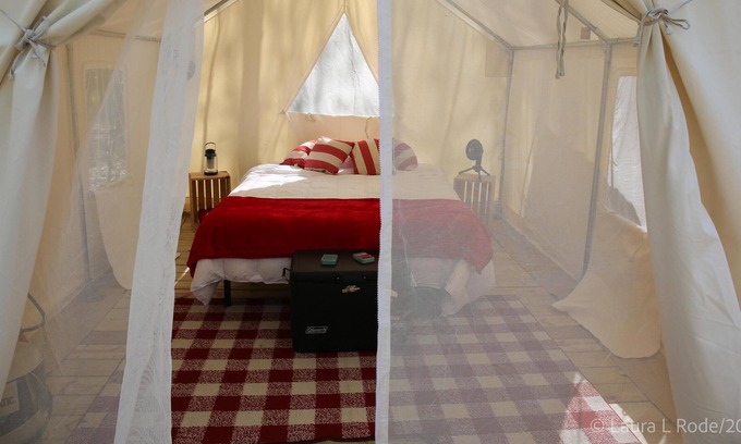 Hartwick RV Rental | Tentrr Signature Site - "Scenic" (the one with the sunrise view!)