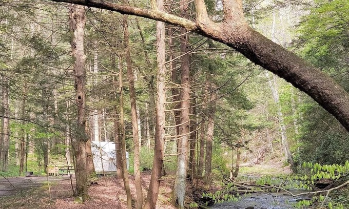Swanton RV Rental | Tentrr State Park Site - Big Run State Park - Site F
