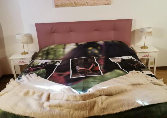 Ozzano dell'Emilia House | Pet-Friendly Tenuta I Ginepri: A Family Getaway Awaits