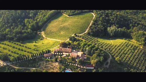 Montaione Apartment | Discover TENUTA ORZALE: Oceanfront Retreat with Pool