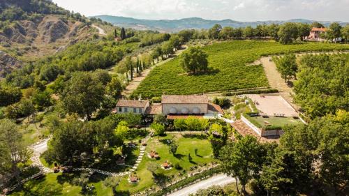 Torriana Resort | Elegant Tenuta Saiano Resort: Pet-Friendly Retreat