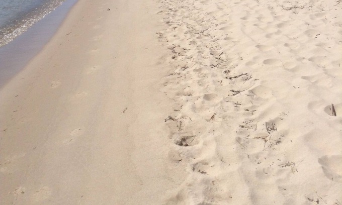 Alpena Cottage | Beautiful Tequila Sunrise Beachfront Cottage with Ocean View