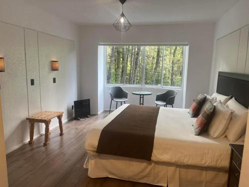 Palguin Alto Hotel | Discover Termas Palguin Pucón: Top-Rated Family Getaway