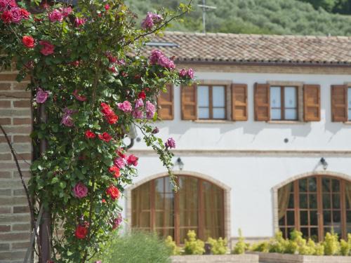 Recanati House | Discover Terra Del Sole: Guest Rated 9.3 with Breakfast