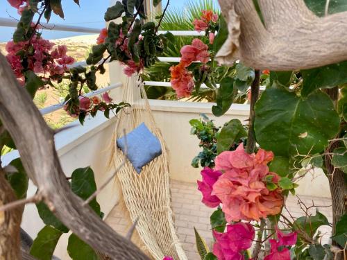 Sal Rei Apartment | Oceanfront Escape at Terra Kriola - Rated 9.4/10