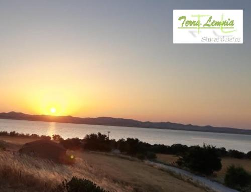 Moudros House | Discover Terra Lemnia: Pet-Friendly Getaway with Hot Tub