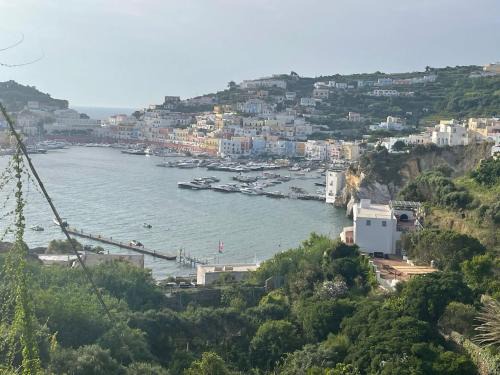 Ponza Apartment | TERRAZZA SUL PORTO da STELLA