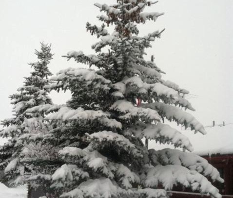 Driggs Cabin | Experience Teton Valley Cabins with a Guest Rating of 8.6