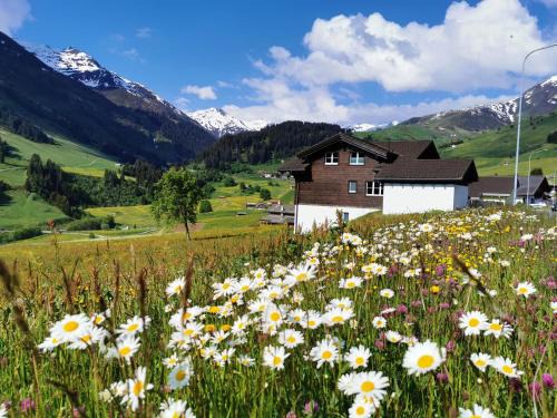 Tujetsch Apartment | Pet-Friendly Retreat at Tgèsa Dutg Grond: Rated 9.3/10