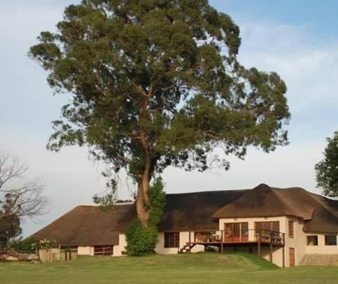 Govan Mbeki Hotel | Discover ThakhuBrunfelsia: Eco-Friendly 4-Star Escape
