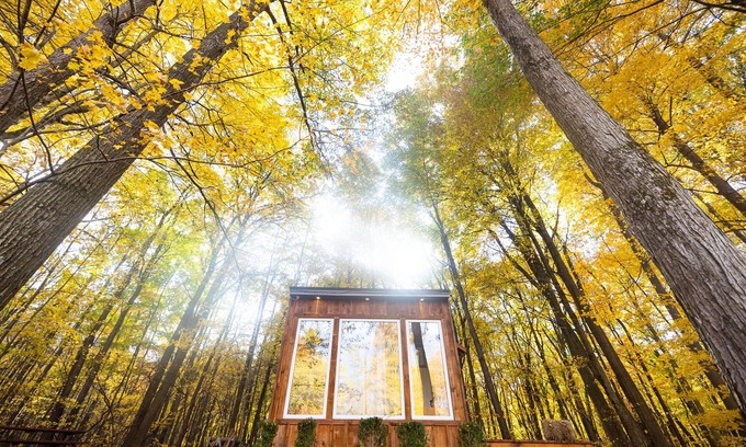 Middlesex Centre Cabin | Discover The Adler Cabin at Fernwood Hills Escape