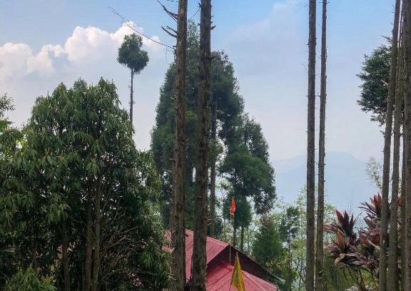 Turuk House | Budget-Friendly Stay at The AlderNest - Pet & Child Friendly