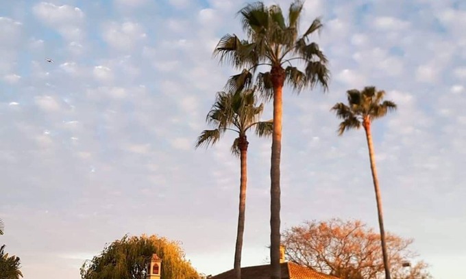 Olhao Villa | Elegant Villa with Ocean View, Just 4 Minutes to the Beach!