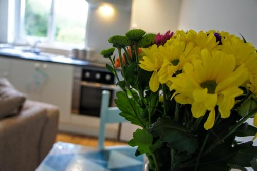 St. Columb Major Apartment | Excellent Stay at The Annex, Ruthvose with Kitchen Access