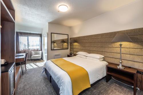 Greymouth Hotel | Discover The Ashley Hotel Greymouth: 4-Star Family Retreat
