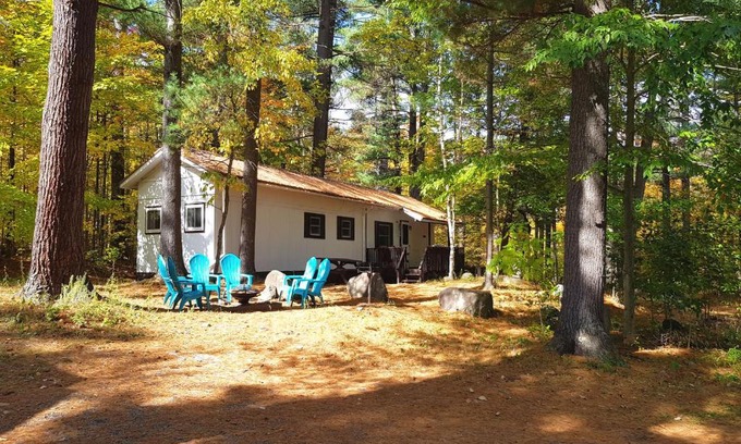 Wilmington House | Experience The Aspen Cabin: Pet-Friendly Retreat Awaits
