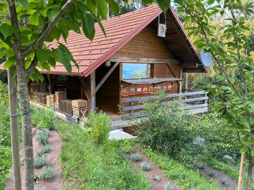 Zalec Apartment | BeeHouse: Nature Retreat with Pet-Friendly Amenities