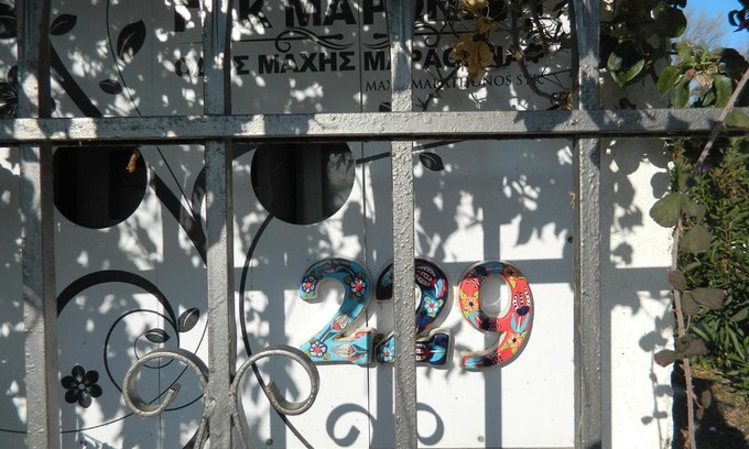 Marathon House | Oceanfront Banana Tree Beach House: Pet-Friendly Getaway