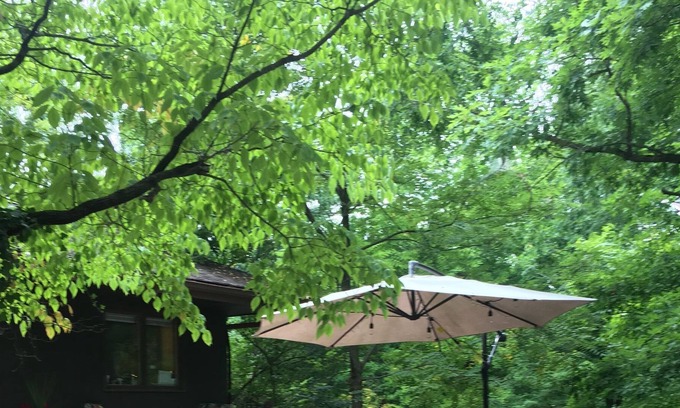 West Lafayette House | The Baumhaus (Treehouse)