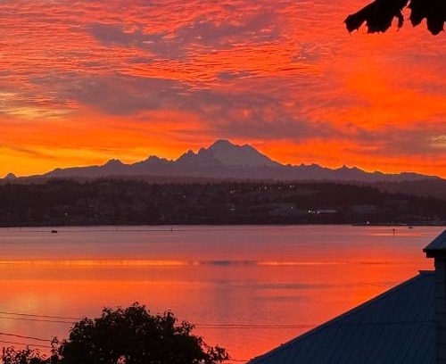 Oak Harbor House | Experience The Beach House: 4-Star Pet & Child Friendly Retreat