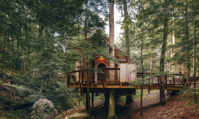 Laurelville Cabin | Relax at The Beech Treehouse in Hocking Hills