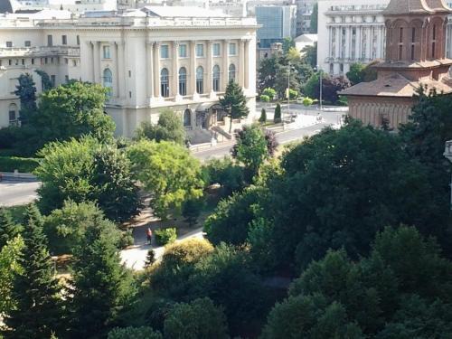 Bucharest City-Centre Apartment | Discover Top-Rated Apartments in Bucureşti, Romania