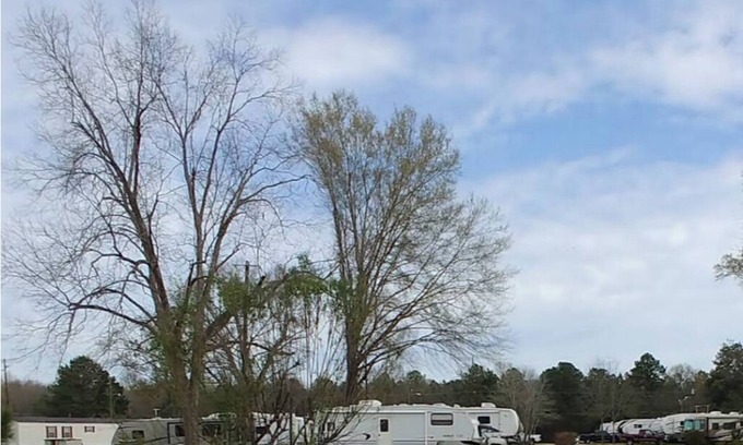 Selma RV Rental | Explore Buckaroo Jones RV Park: Family & Pet-Friendly Stay