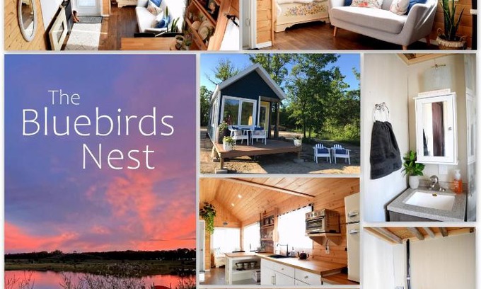 New Bothwell House | Family-Friendly Retreat at The Bluebirds Nest with Hot Tub