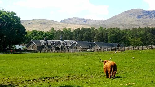 Hogwarts House | Pet-Friendly Retreat at The Bothy in Glenlyon, Perthshire