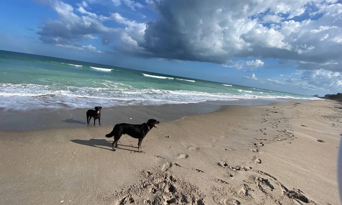 Jensen Beach Hotel | Outstanding Stay at The Breezy Inn - Rated 9.2/10!