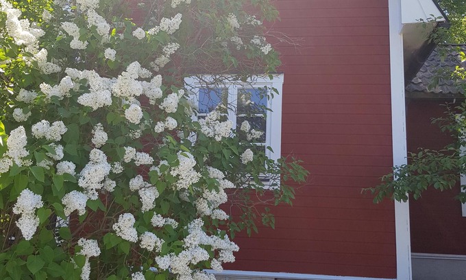 Rimbo House | Experience Coastal Comfort at The Brickmaker's Cottage