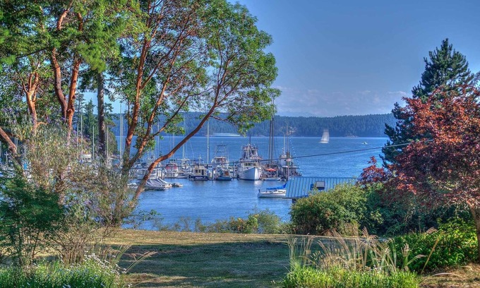 West Sound House | Oceanfront Bungalow in West Sound: A Guest Favorite