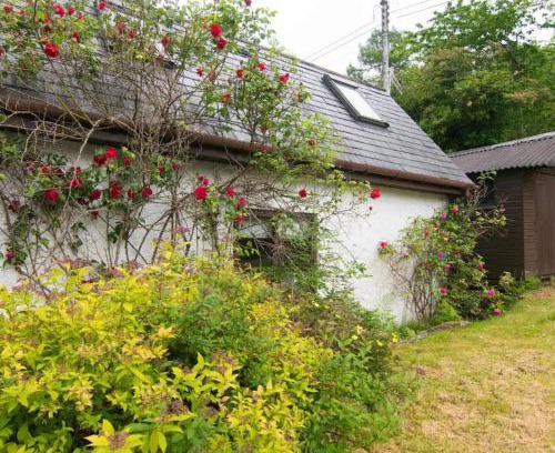 Glencoe Ski Chalet | Oceanfront Bliss at The Bunkie - Pet Friendly Retreat