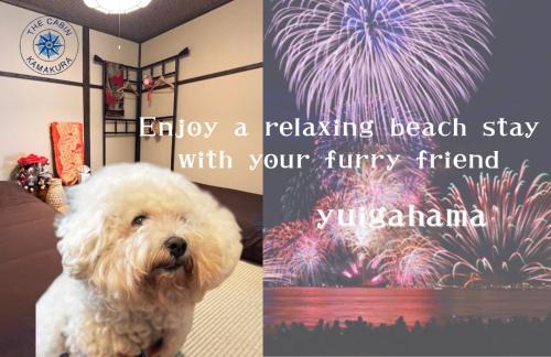 Kamakura Apartment | Pet-Friendly Retreat at THE CABIN 鎌倉 - Vintage Comfort Awaits