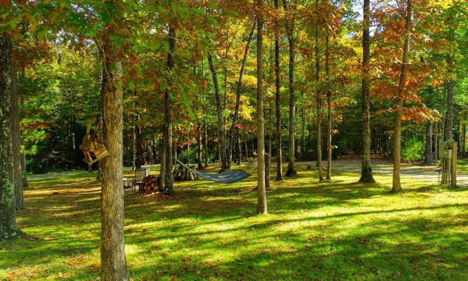 Jamestown Cabin | Experience The Cabin at Crockett Creek: 10/10 Guest Rated Retreat