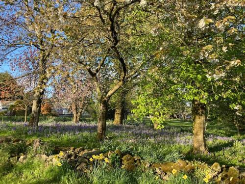Lisburn House | Outstanding Family Retreat at The Cabin - Rated 9.9/10
