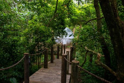 Storms River Other | Experience The Cacoon @ Misty Mountain Reserve with Ocean Views