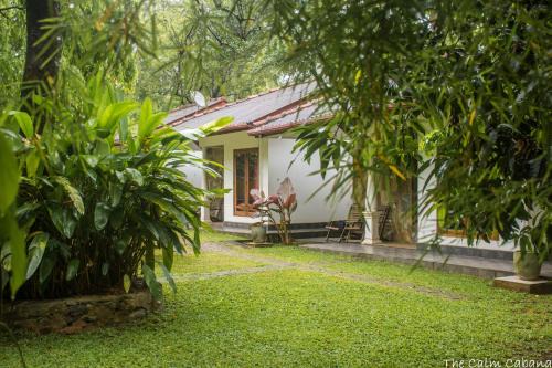 Dambulla House | Discover The Calm Cabana: Pet-Friendly with Breakfast
