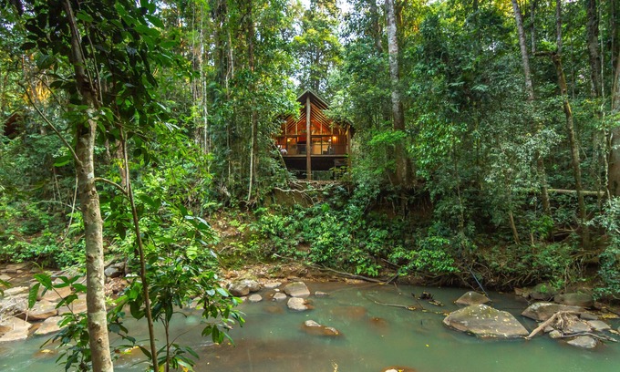 Tarzali Apartment | Experience The Canopy Rainforest Treehouses & Wildlife Sanctuary