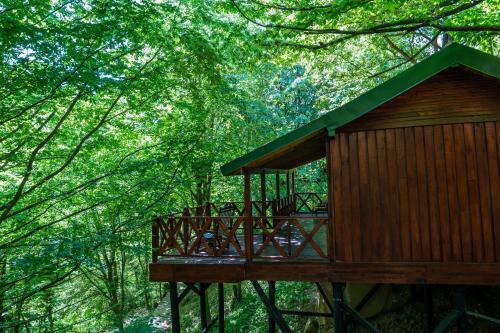 Sirinsulhiye Hotel | Discover The Canyon Kartepe: Pet-Friendly Retreat Awaits