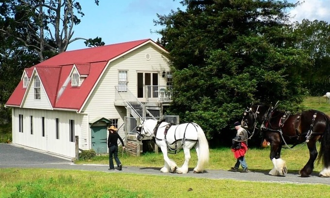 Kerikeri House | Pet-Friendly Bliss at The Carriage House, Bay of Islands